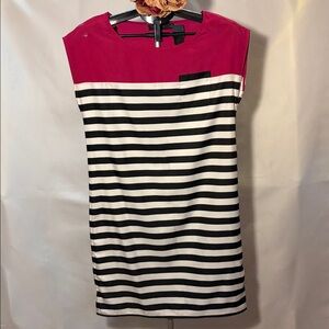 The Limited Vibrant Pink Striped Dress